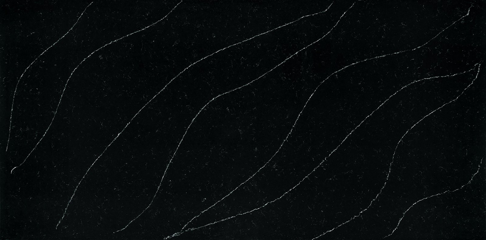 NOCTURNE