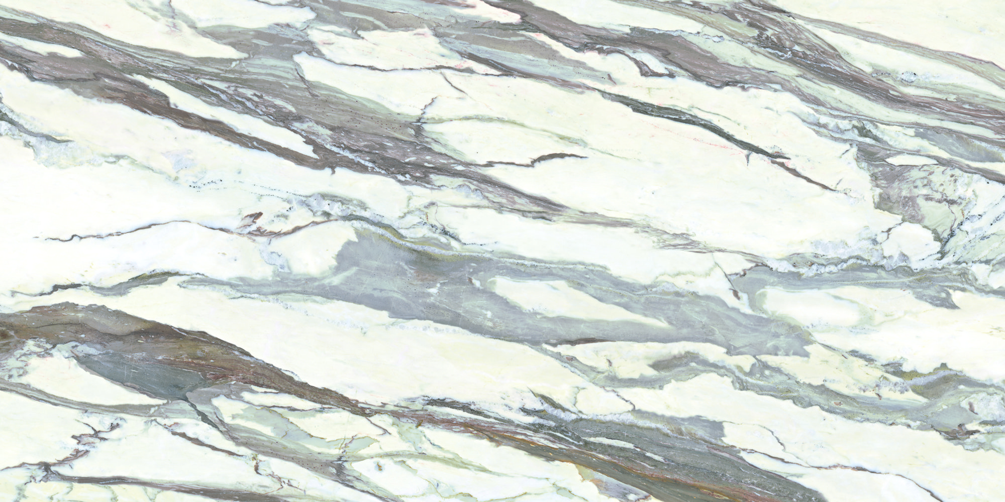 CALACATTA MASTERPIECE