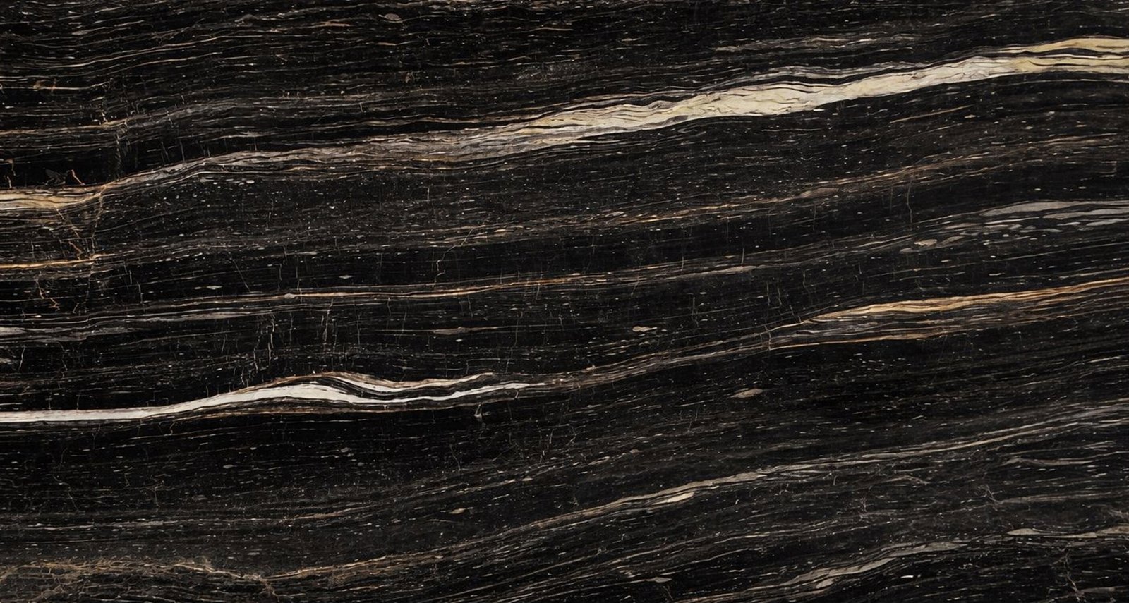 NERO PICASSO   VEIN CUT