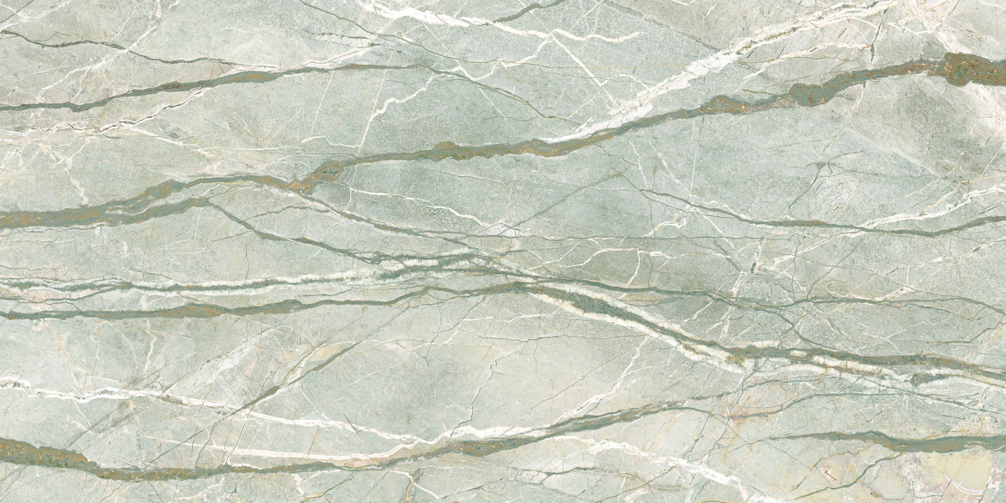 SILVER ROOTS