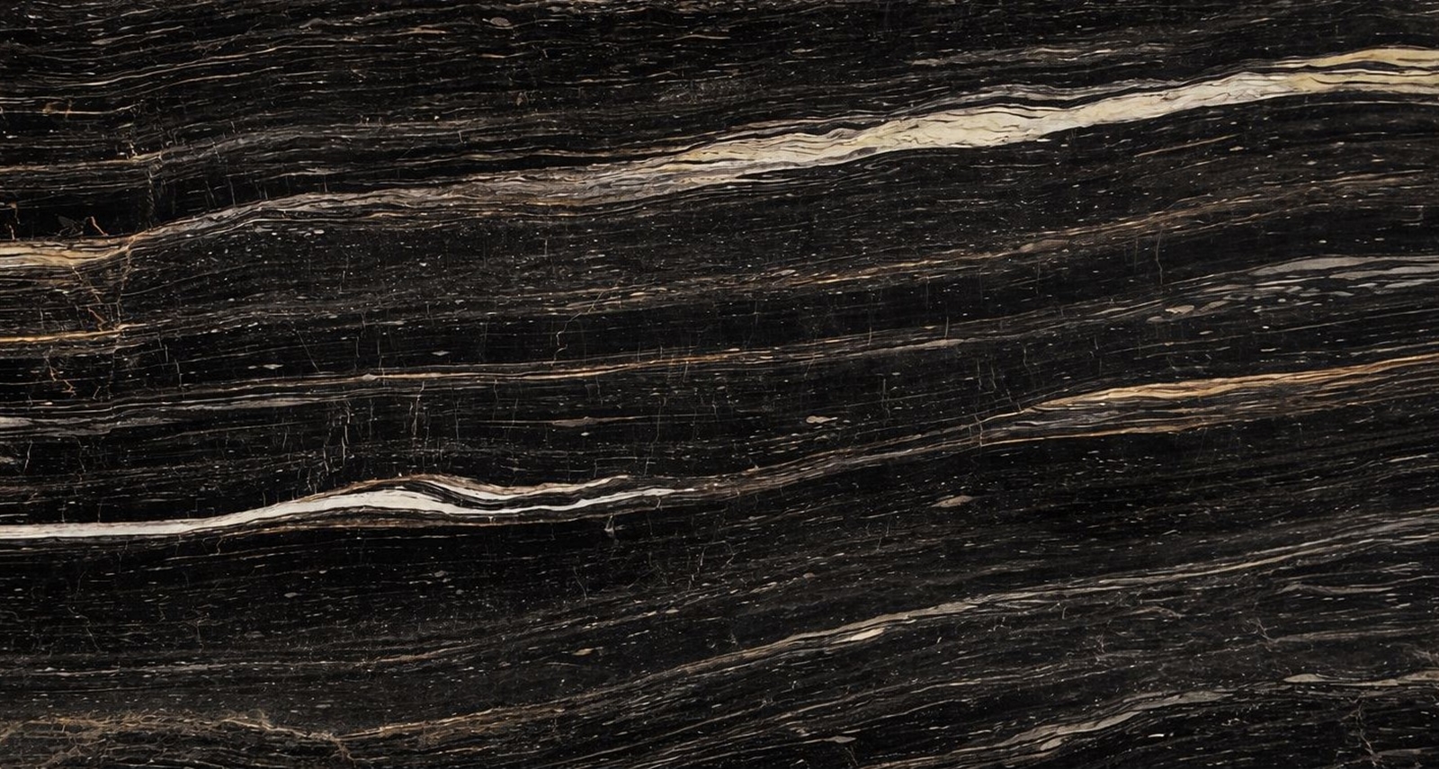 NERO PICASSO   VEIN CUT