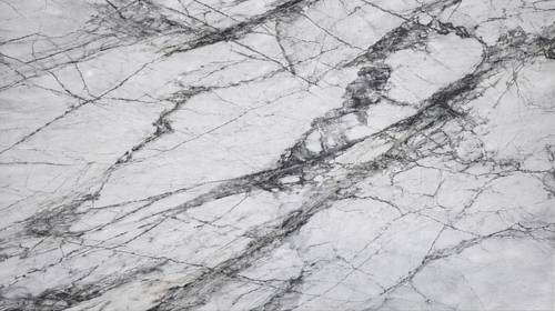 TERAVIA WHITE