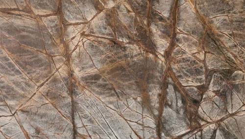 RAIN FOREST BROWN