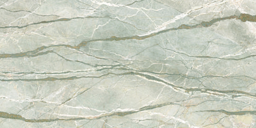 SILVER ROOTS