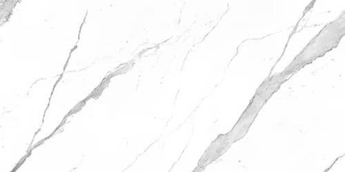 BIANCO STATUARIO VENATO