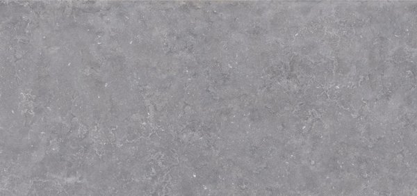 BELGIAN BLUE FULLBODY 3D