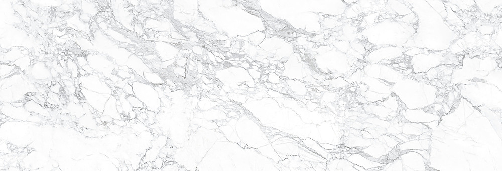 Arabescato Oro Silk Matt (I NATURALI)